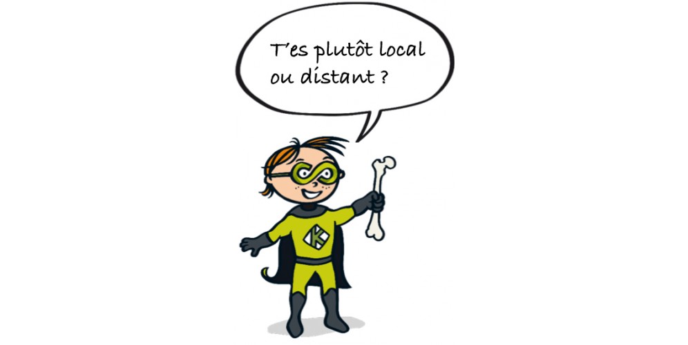 minimax_reseau.jpg